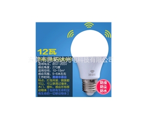 LED bulb3